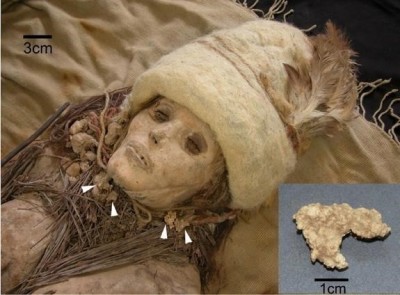 Figure 1.Photograph of a female mummy from tomb M11 (Yang et al.2014, 180)